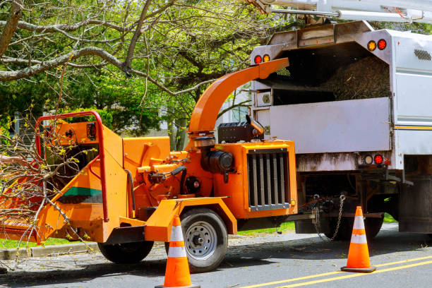 Best Leaf Removal  in Middleton, WI