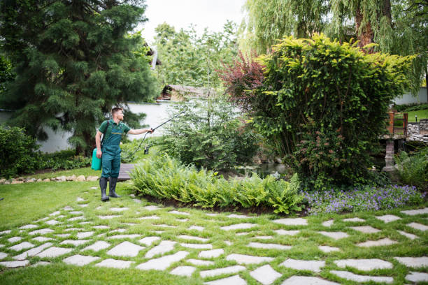 Best Lawn Grading and Leveling  in Middleton, WI